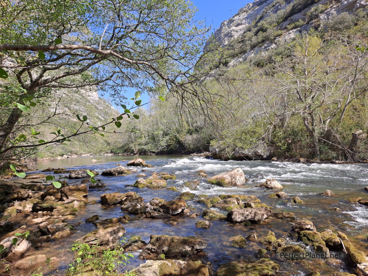 Ebro river