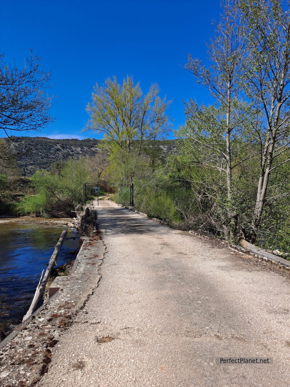 Remolino bridge