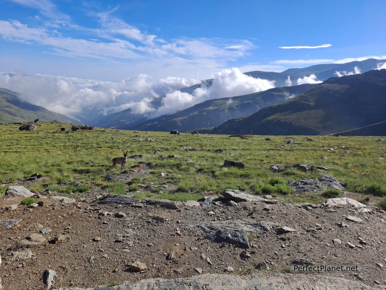 Vistas desde Refugio de Poqueira