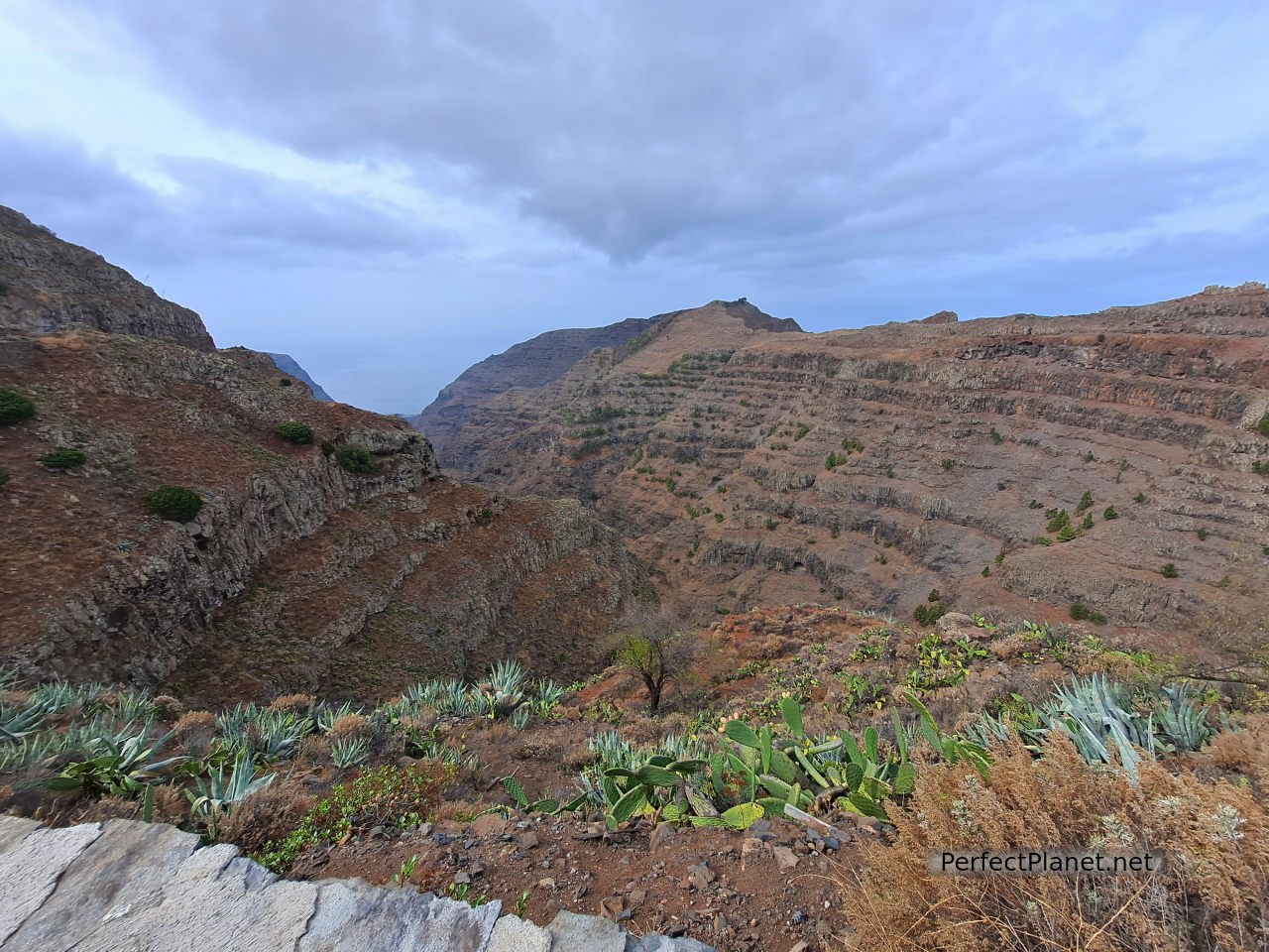 Retama viewpoint