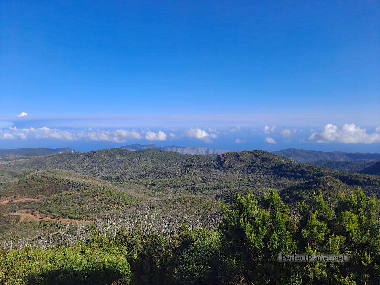 Vistas desde Alto del Garajonay