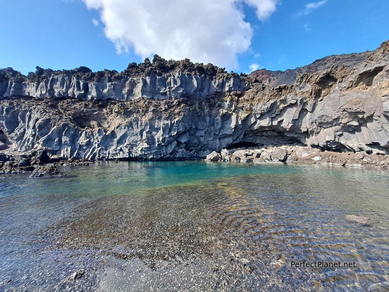 Echentive natural pool