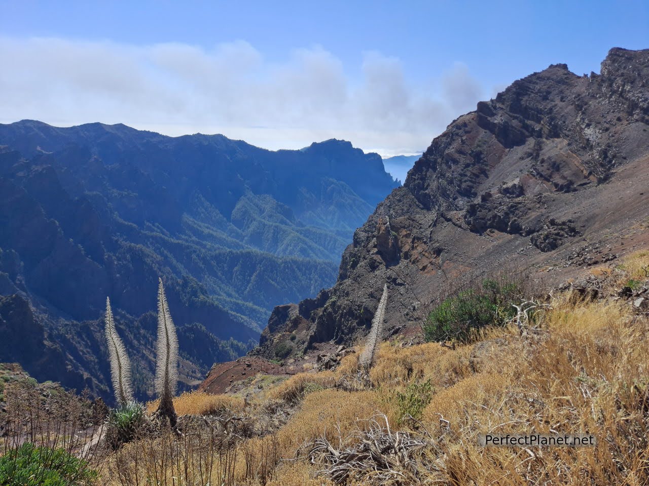 Roque de los Muchachos