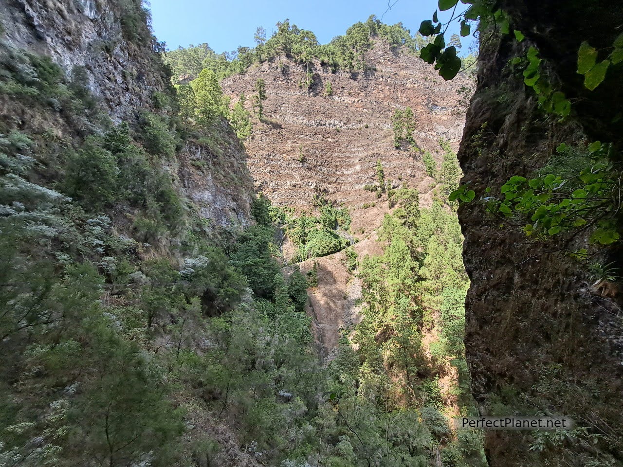 Springs of Marcos and Cordero