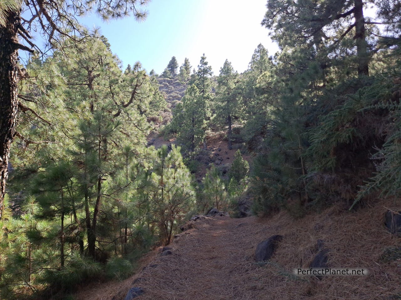 Ascent to Nieve peak