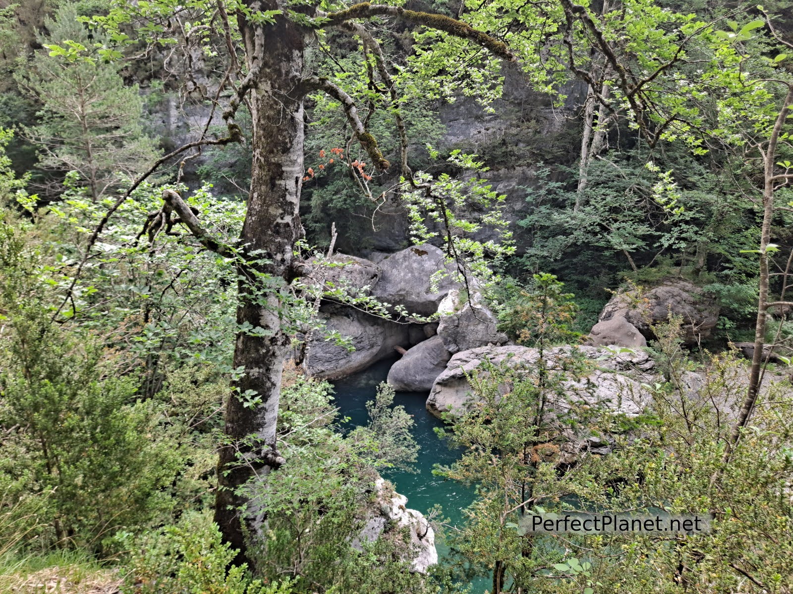 Añisclo canyon