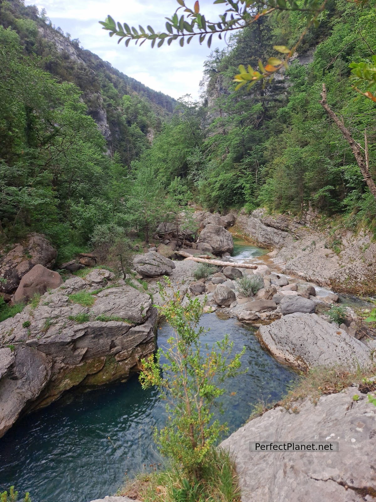 Cañón de Añisclo