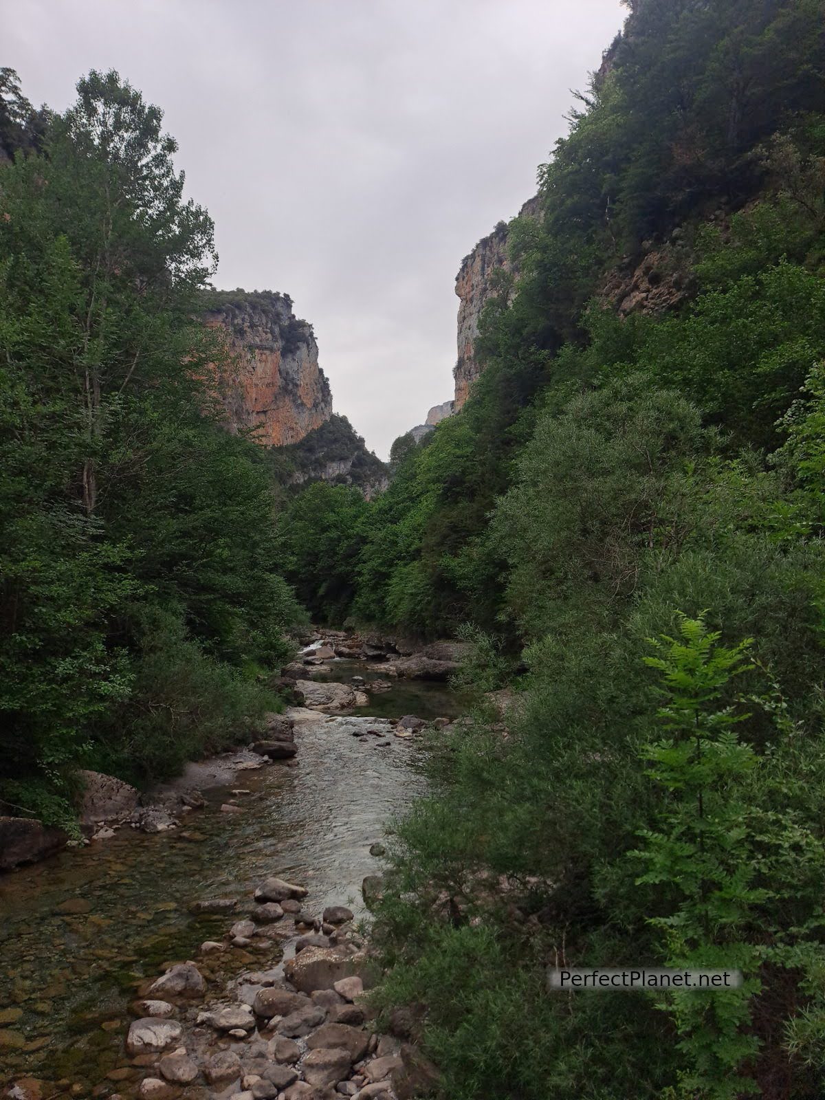 Cañón de Añisclo