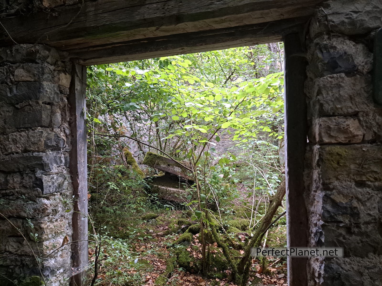 Old mill ruins