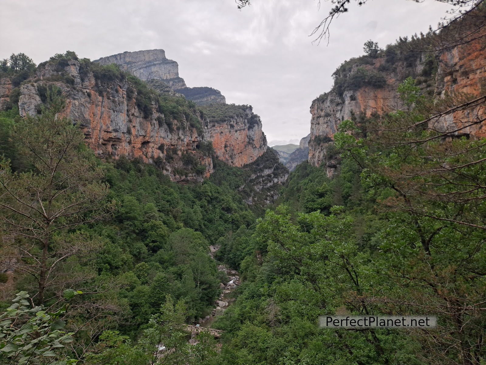 Cañón de Añisclo