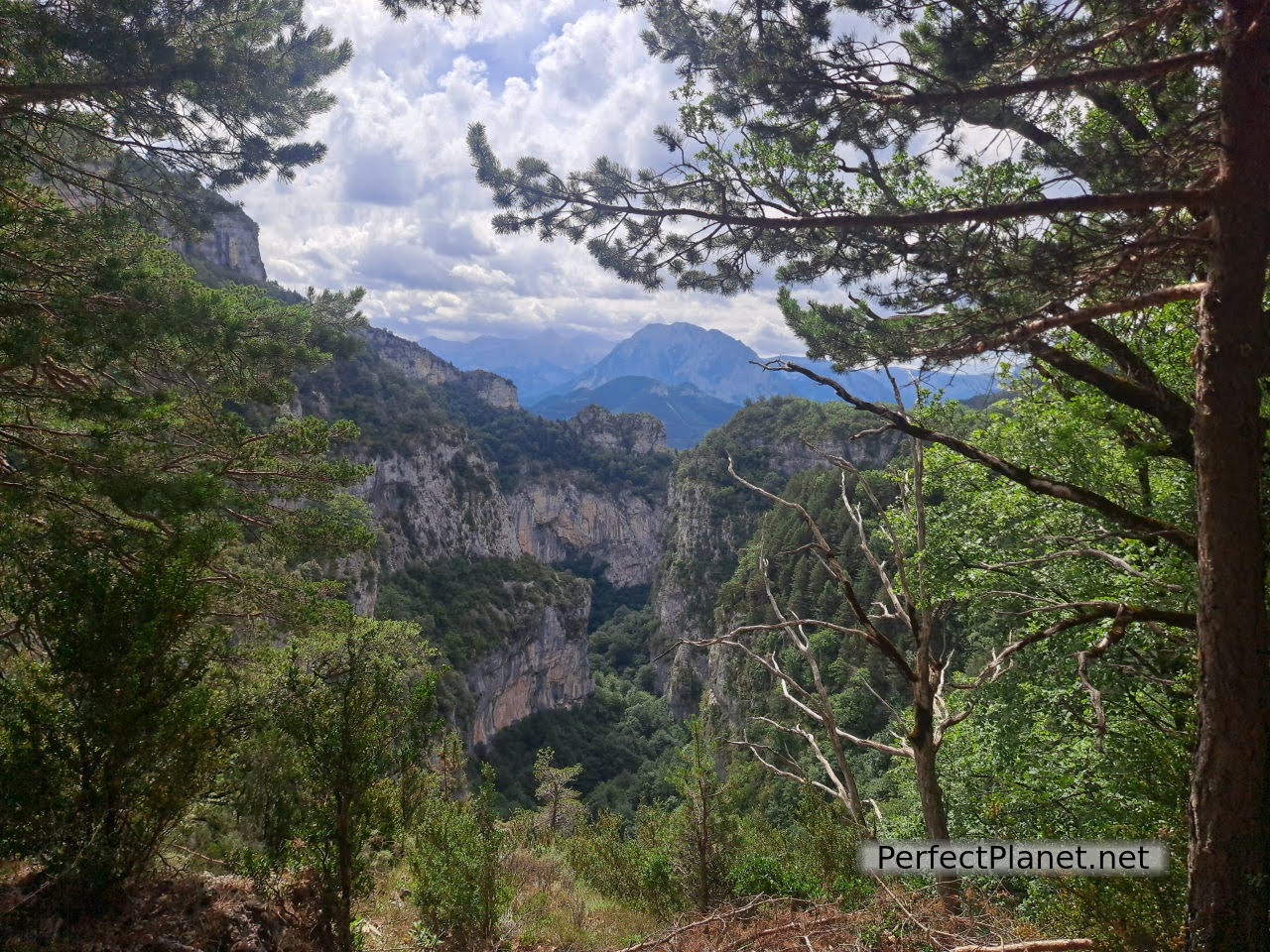 Escuaín Gorge