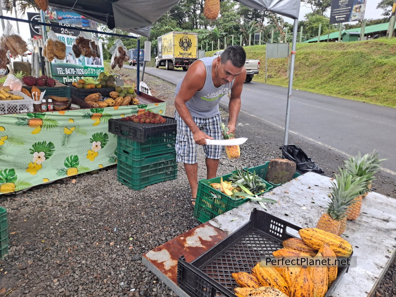 Selling fruit