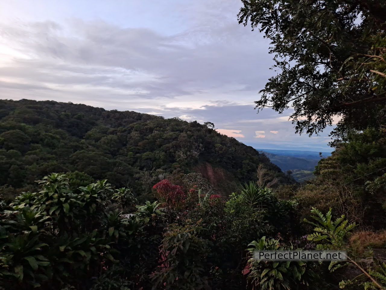 Vistas desde el hostel