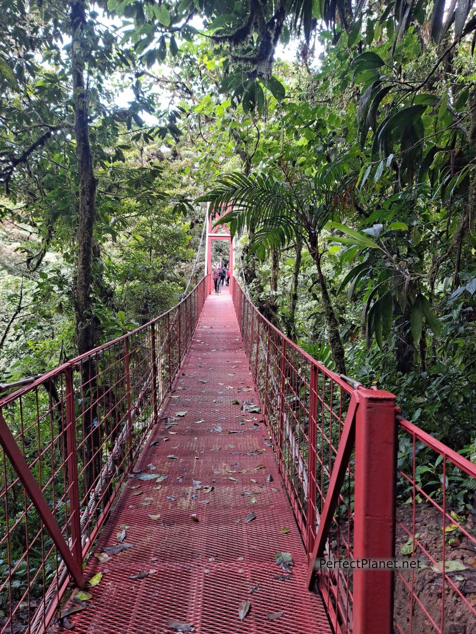 Puente colgante