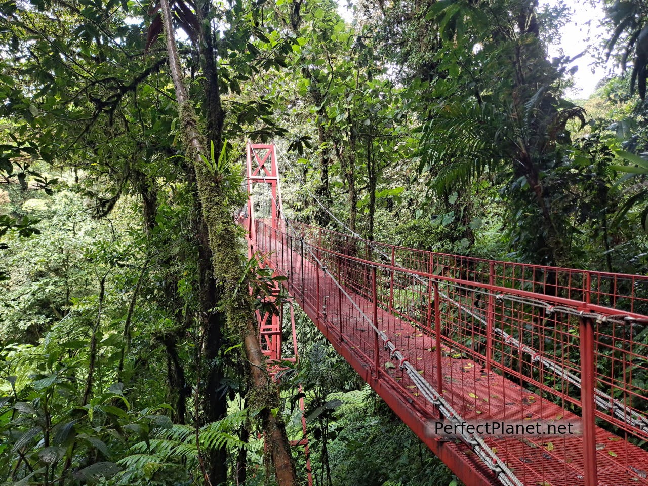 Puente colgante