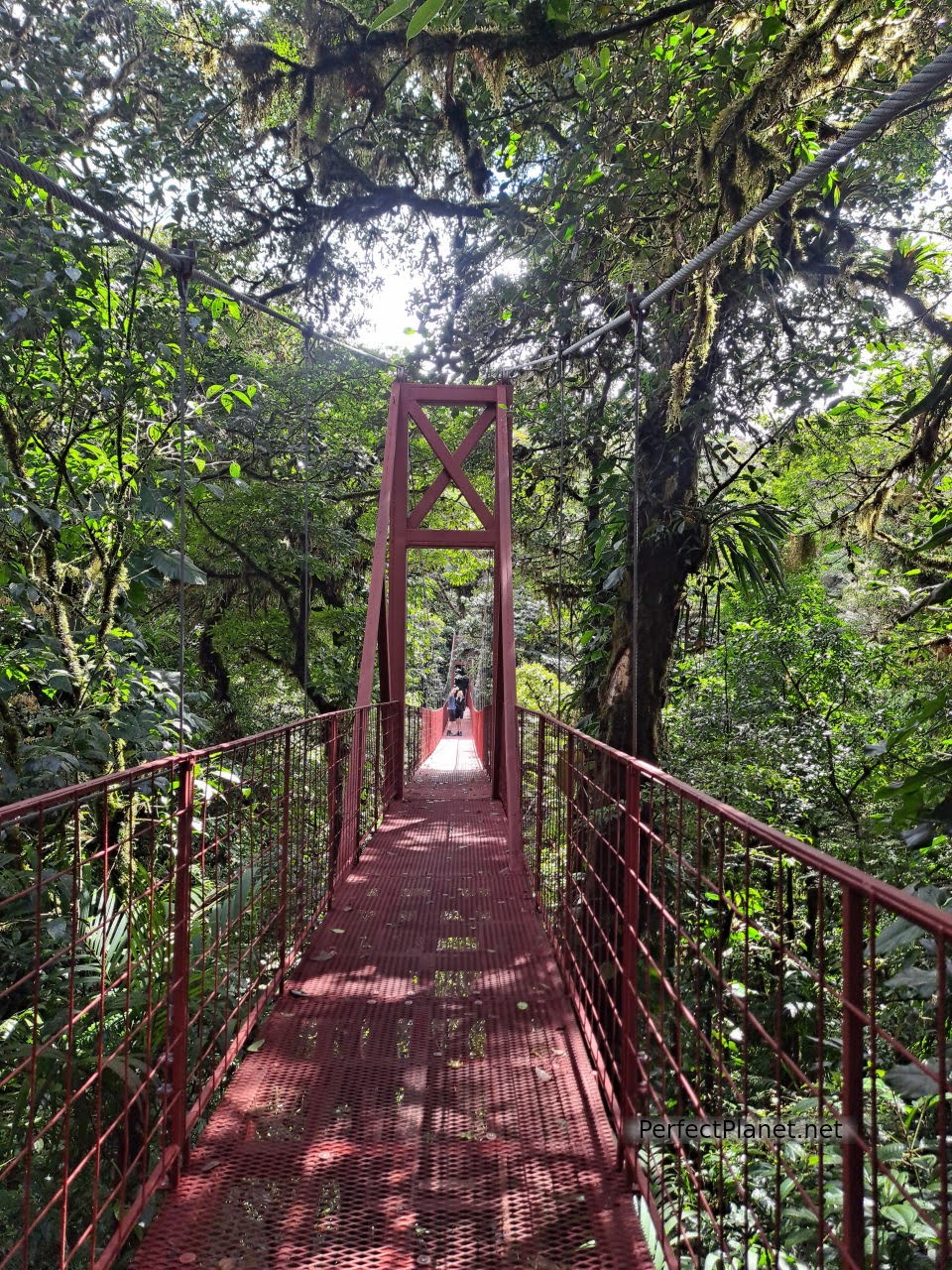 Puente colgante