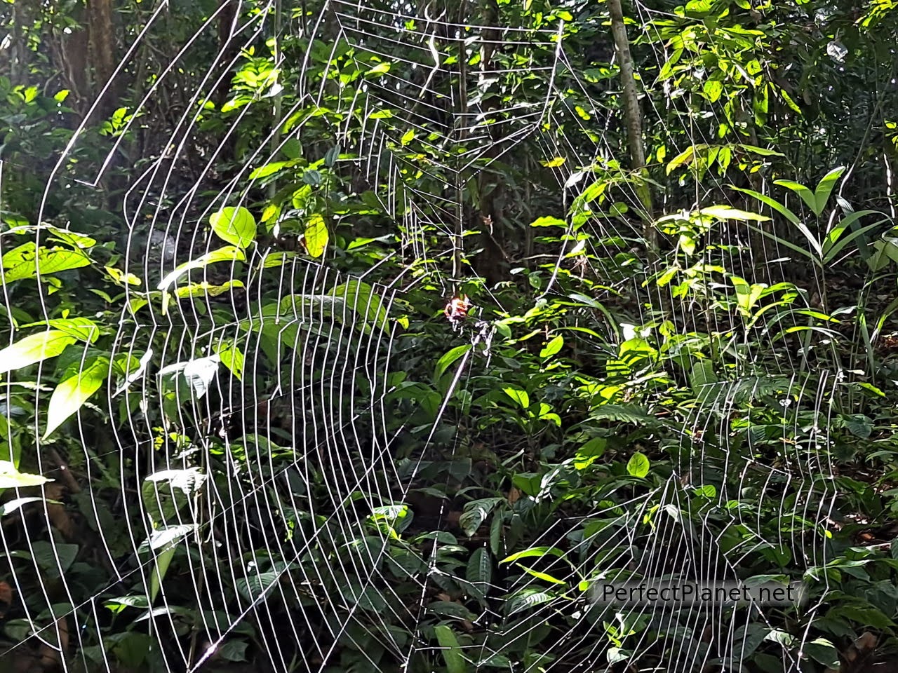 Parque Nacional Manuel Antonio