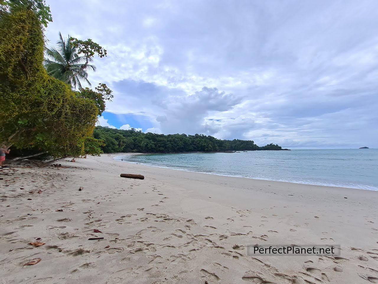 Playa Manuel Antonio