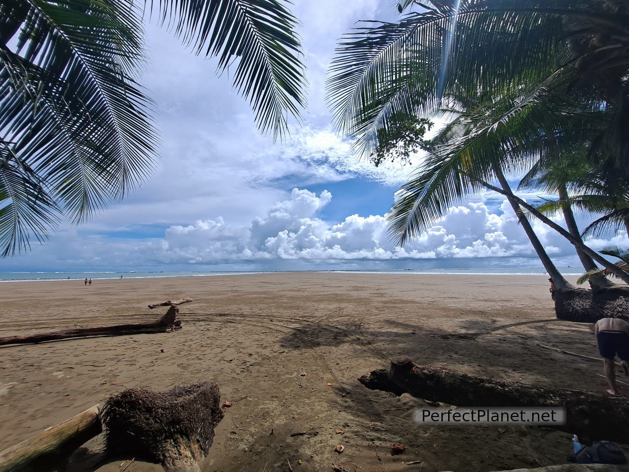 Marino Ballena National Park