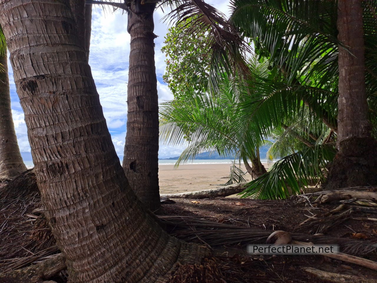 Marino Ballena National Park