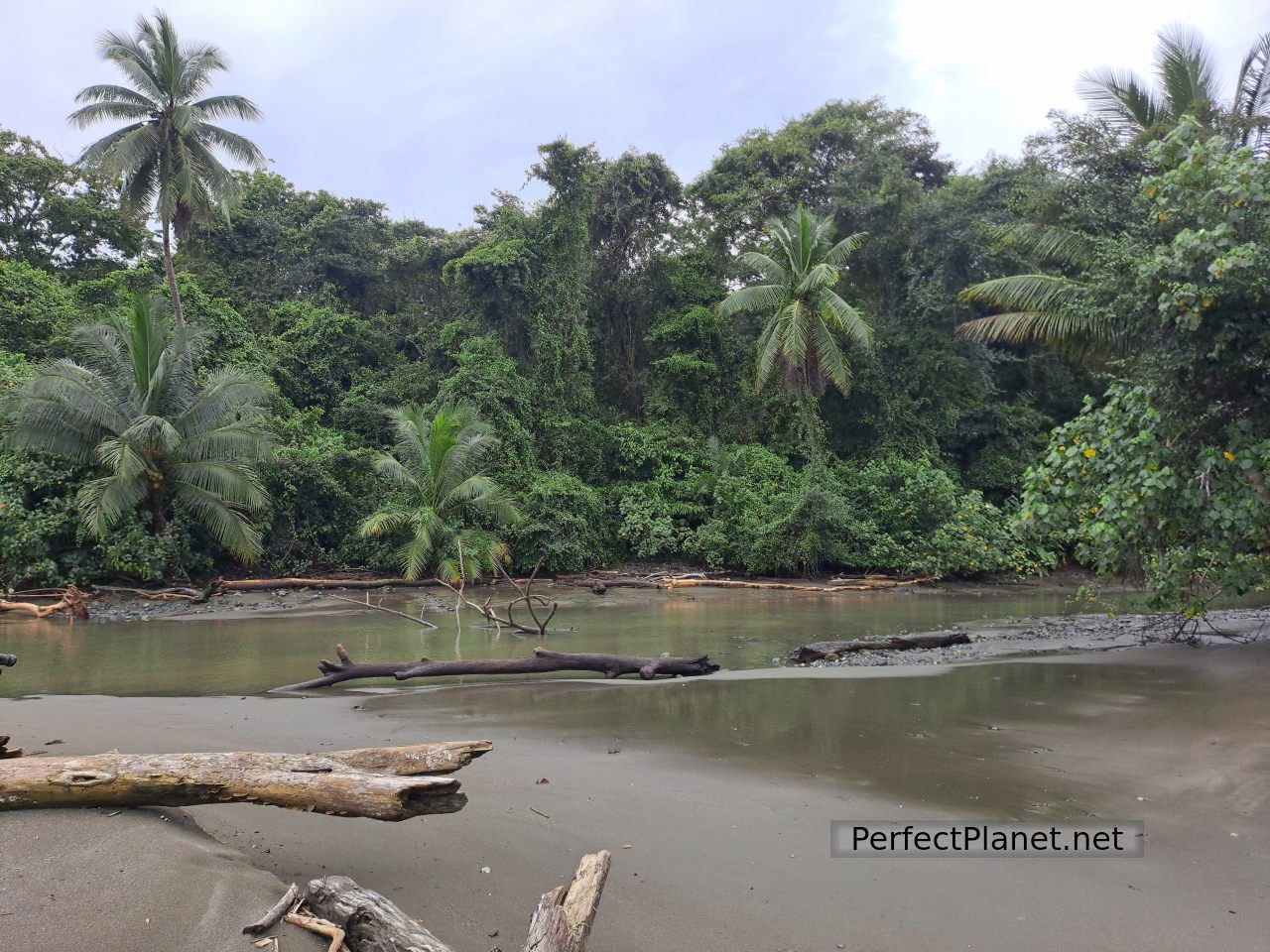 Parque Nacional de Corcovado