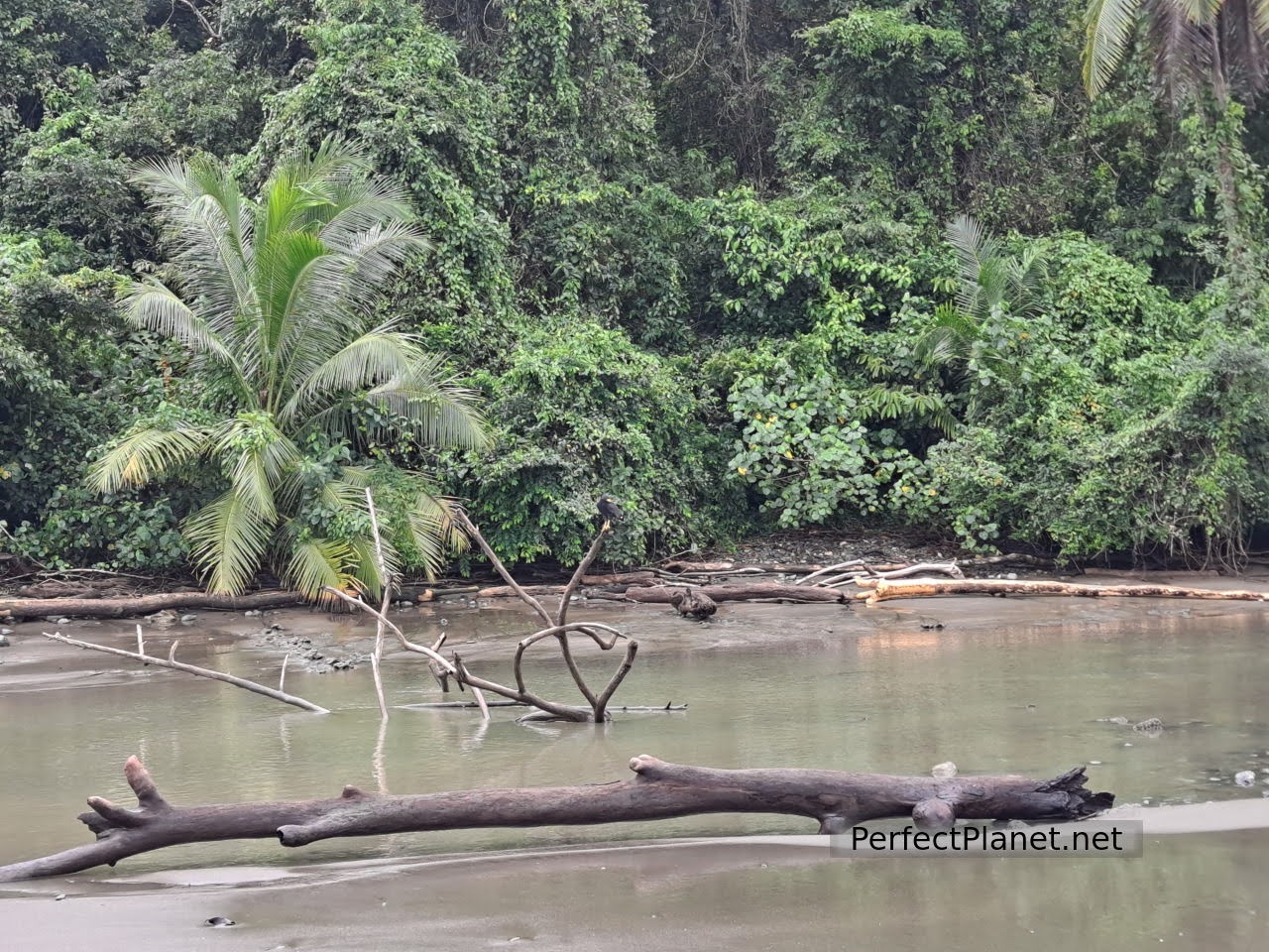 Corcovado National Park