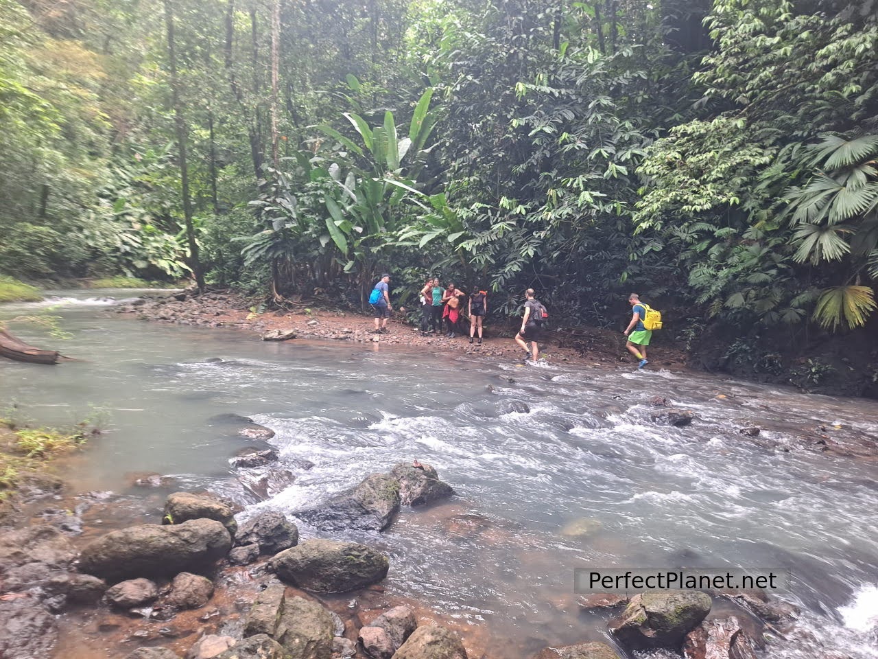 Parque Nacional de Corcovado