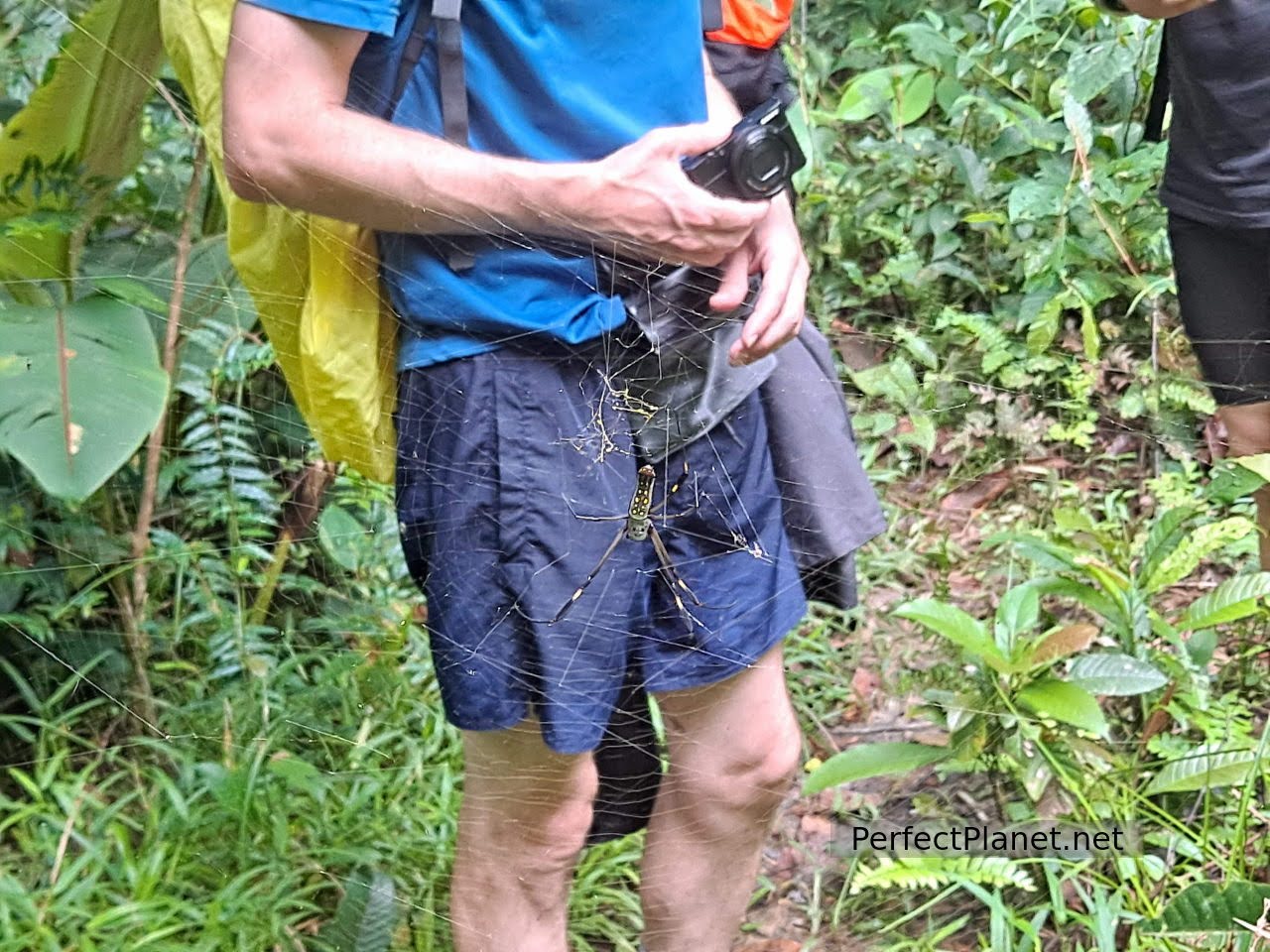 Corcovado National Park