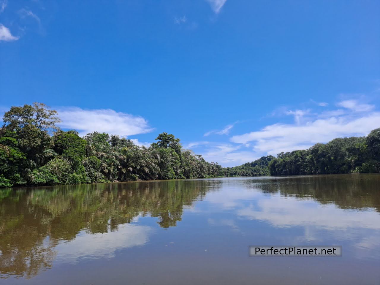 Tortuguero lagoon