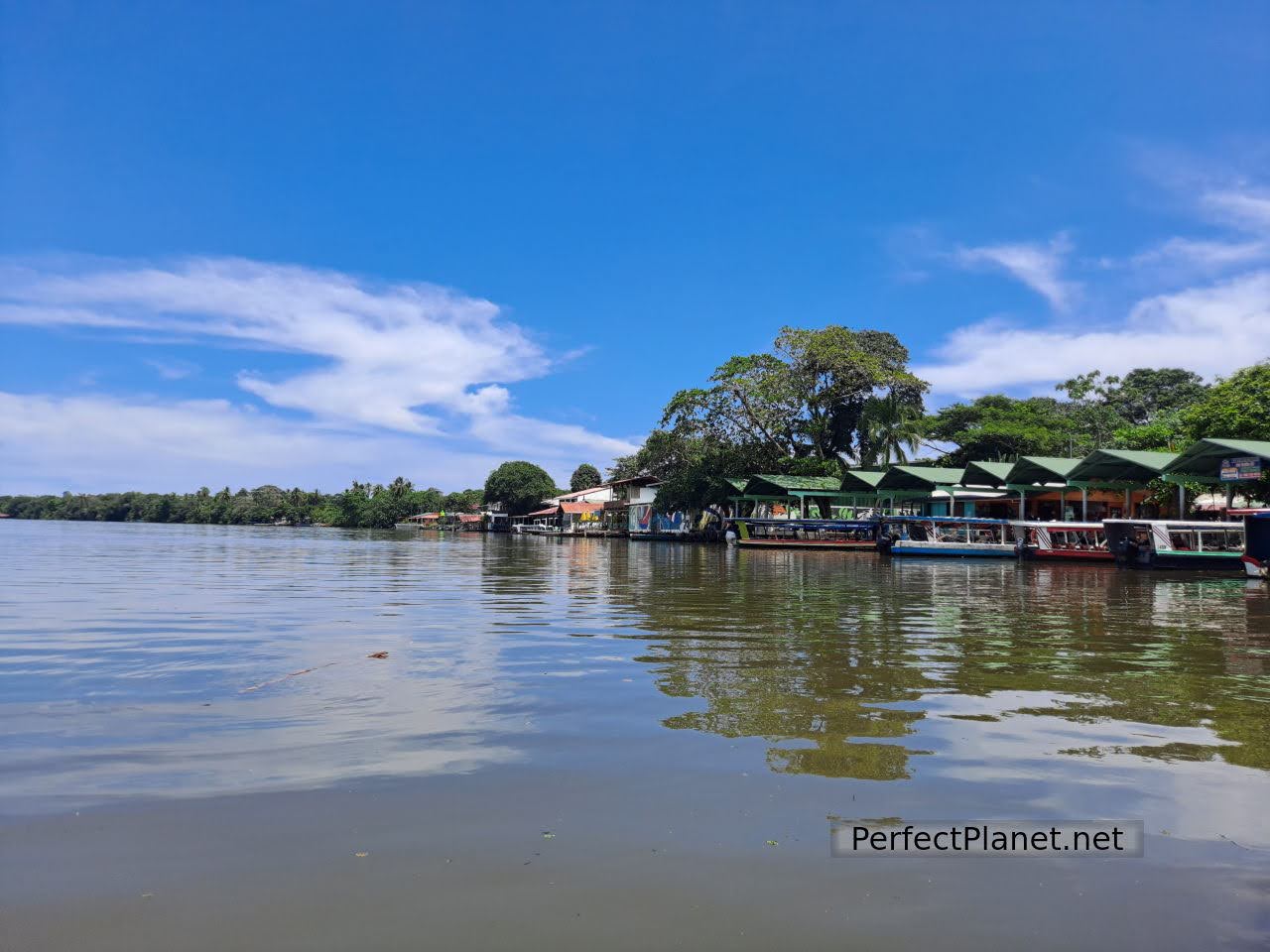 Tortuguero