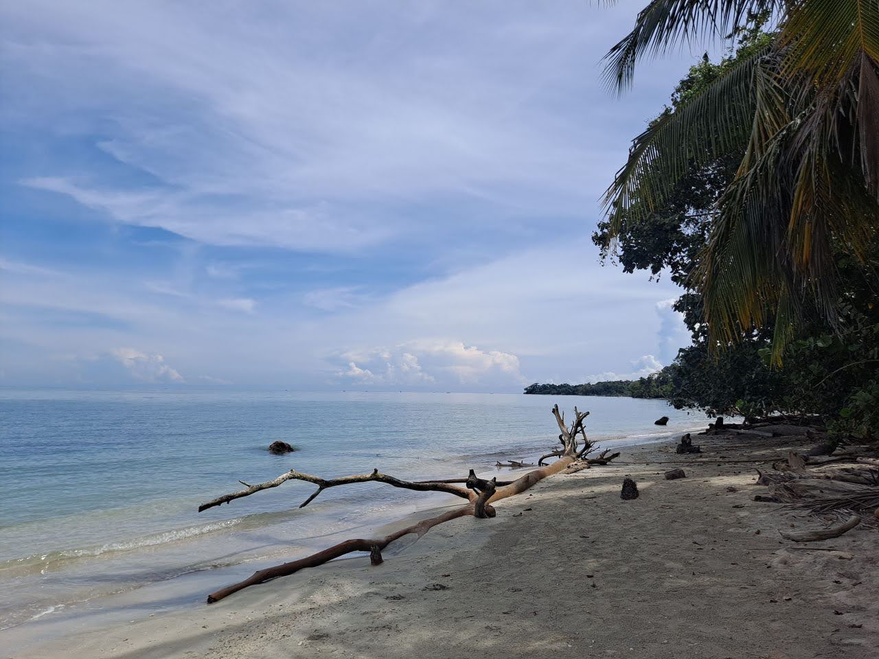 Cahuita National Park