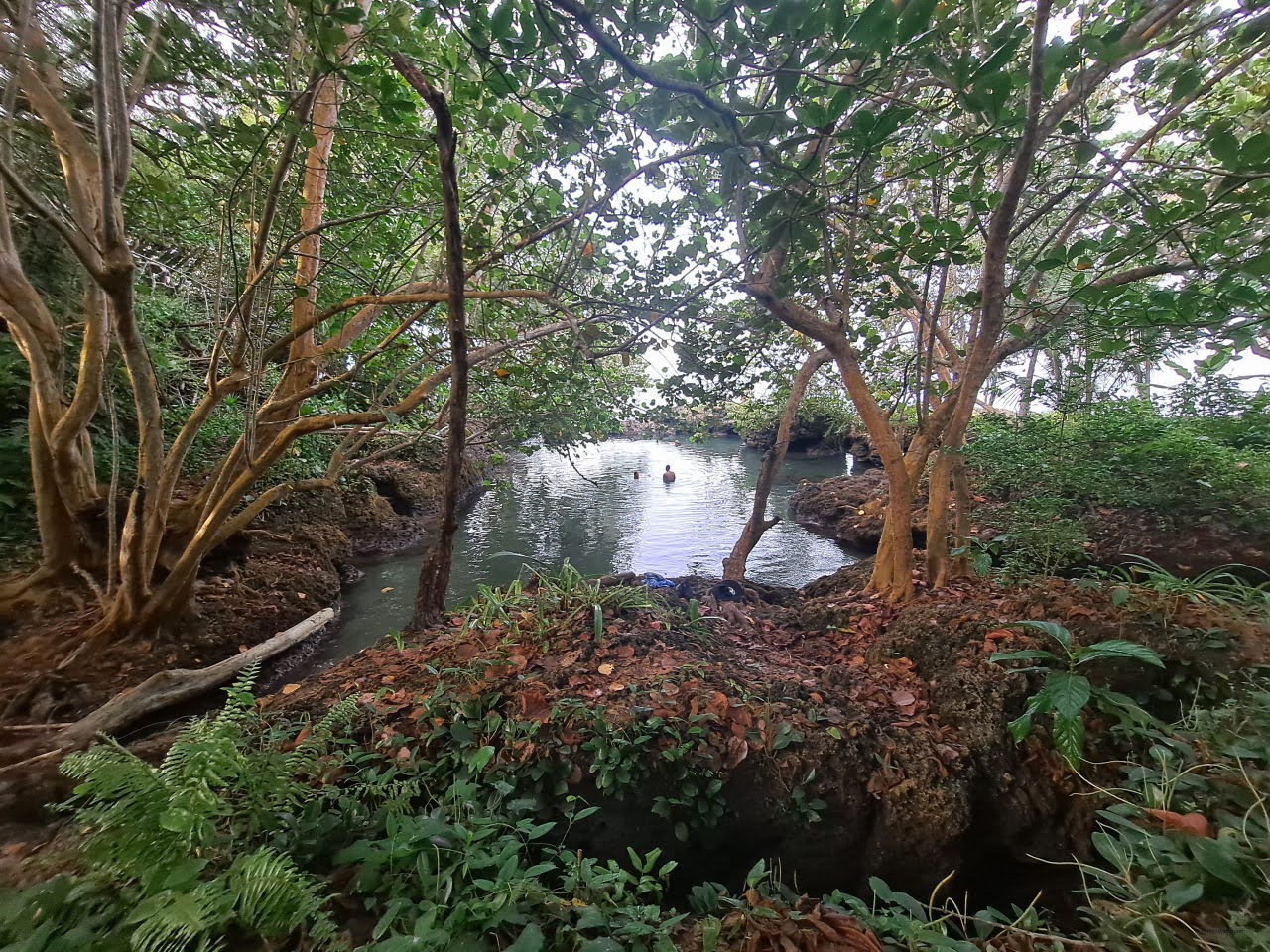 Natural pools