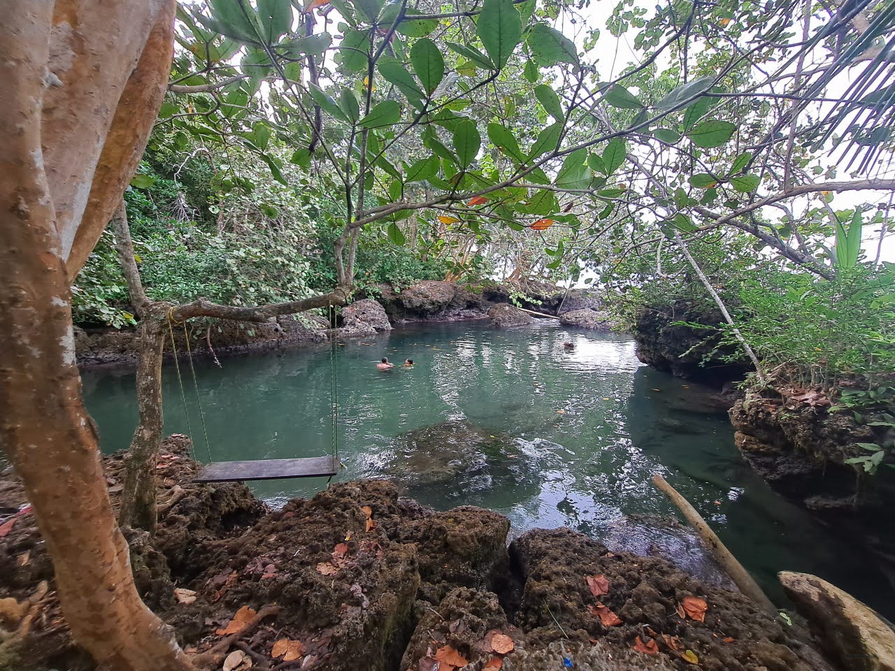 Natural pools