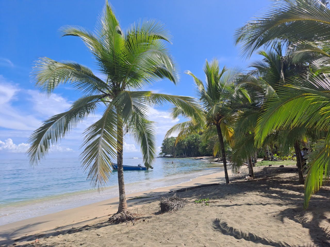 Playa de Manzanillo