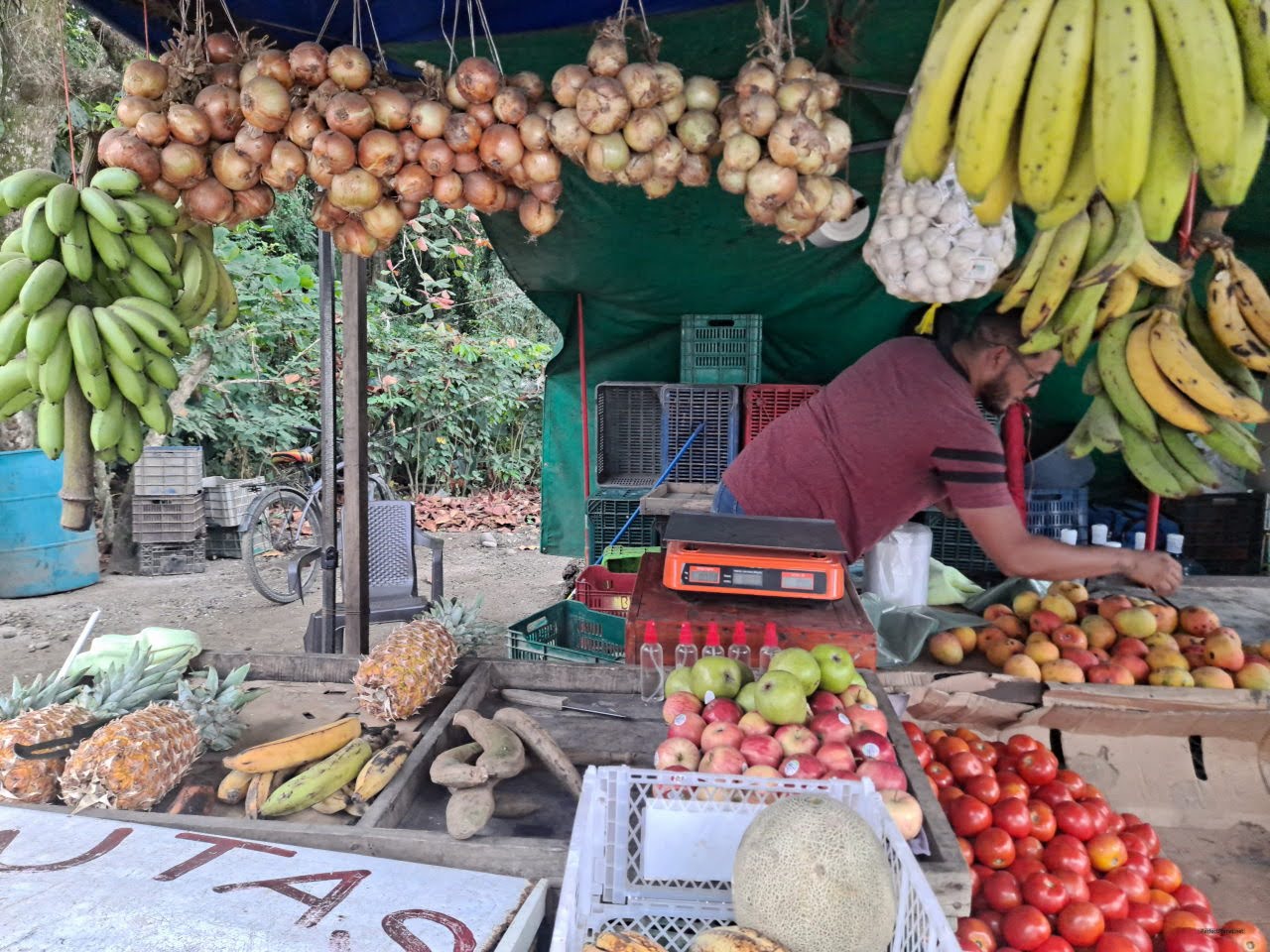 Puesto de fruta