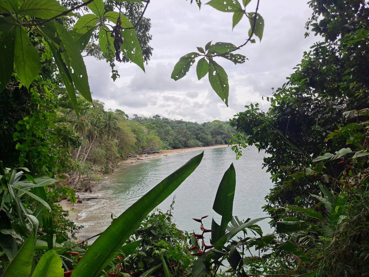 Punta Uva beach