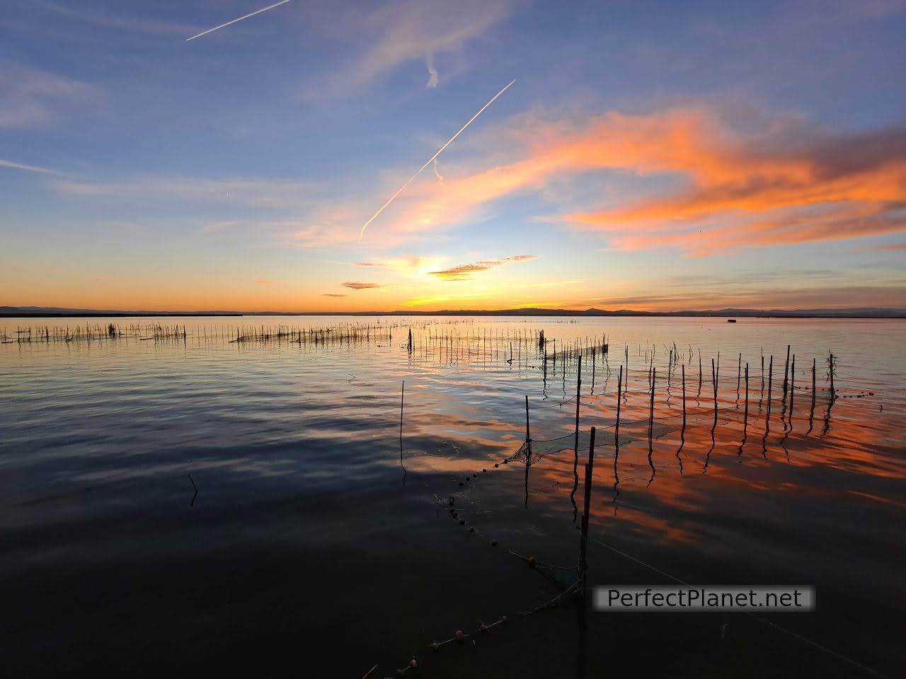 Albufera