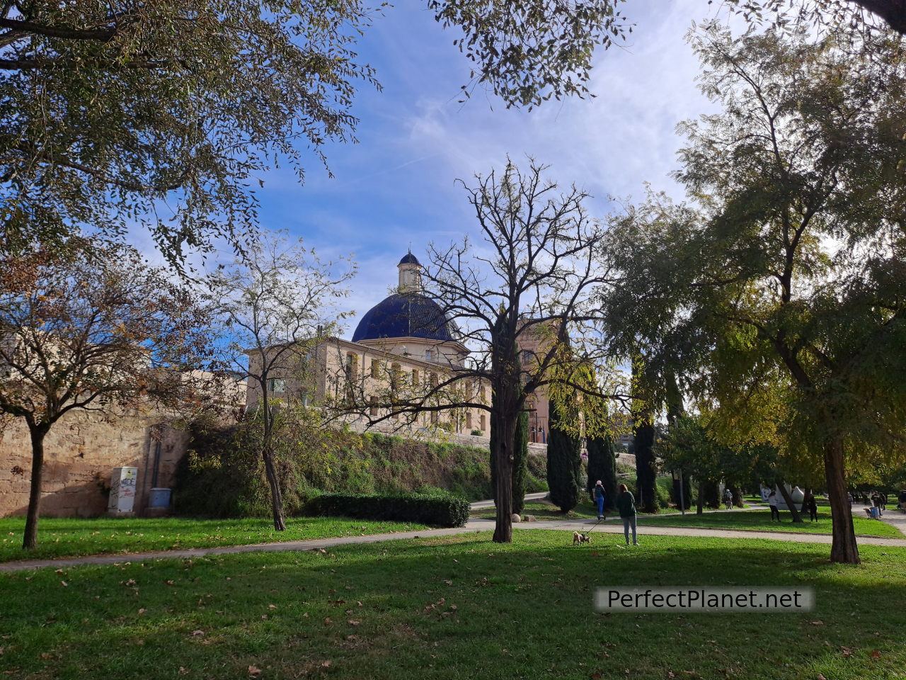 Museum of Fine Arts