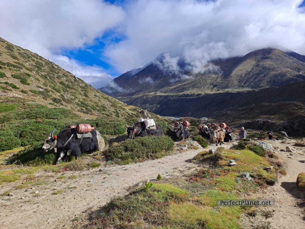 Tengboche