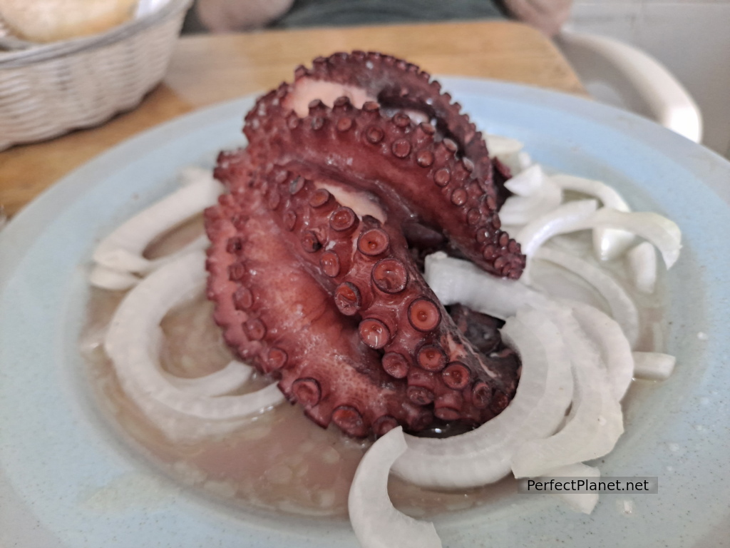 Octopus