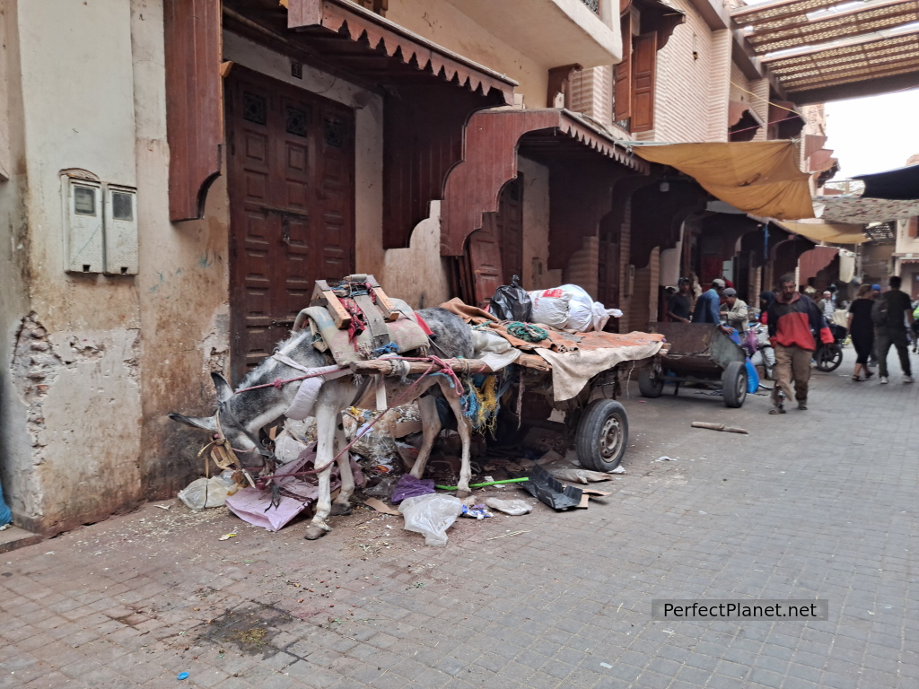 Zoco de Marrakech