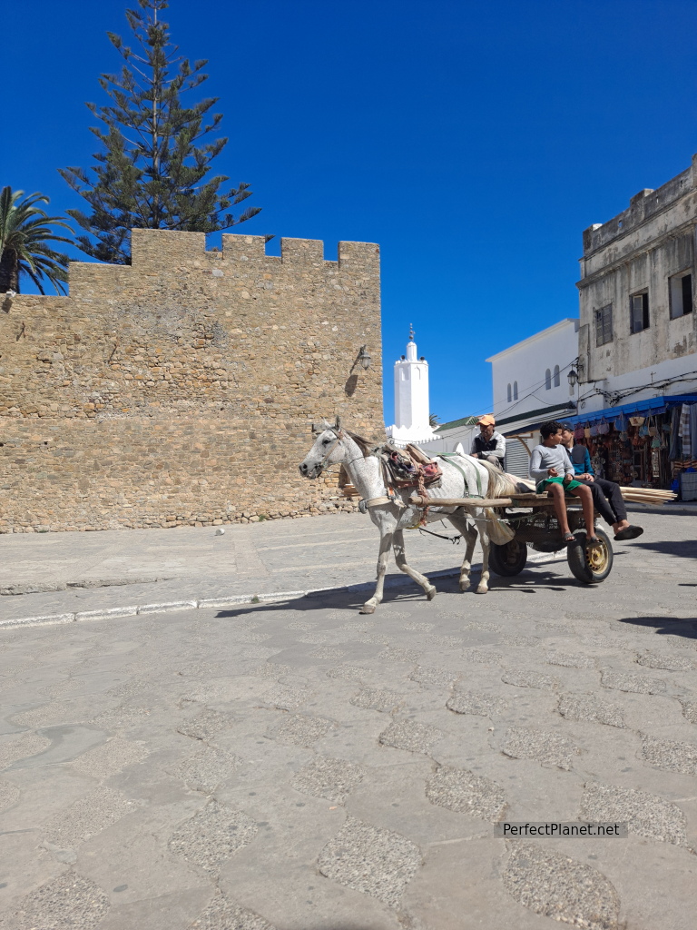 Asilah