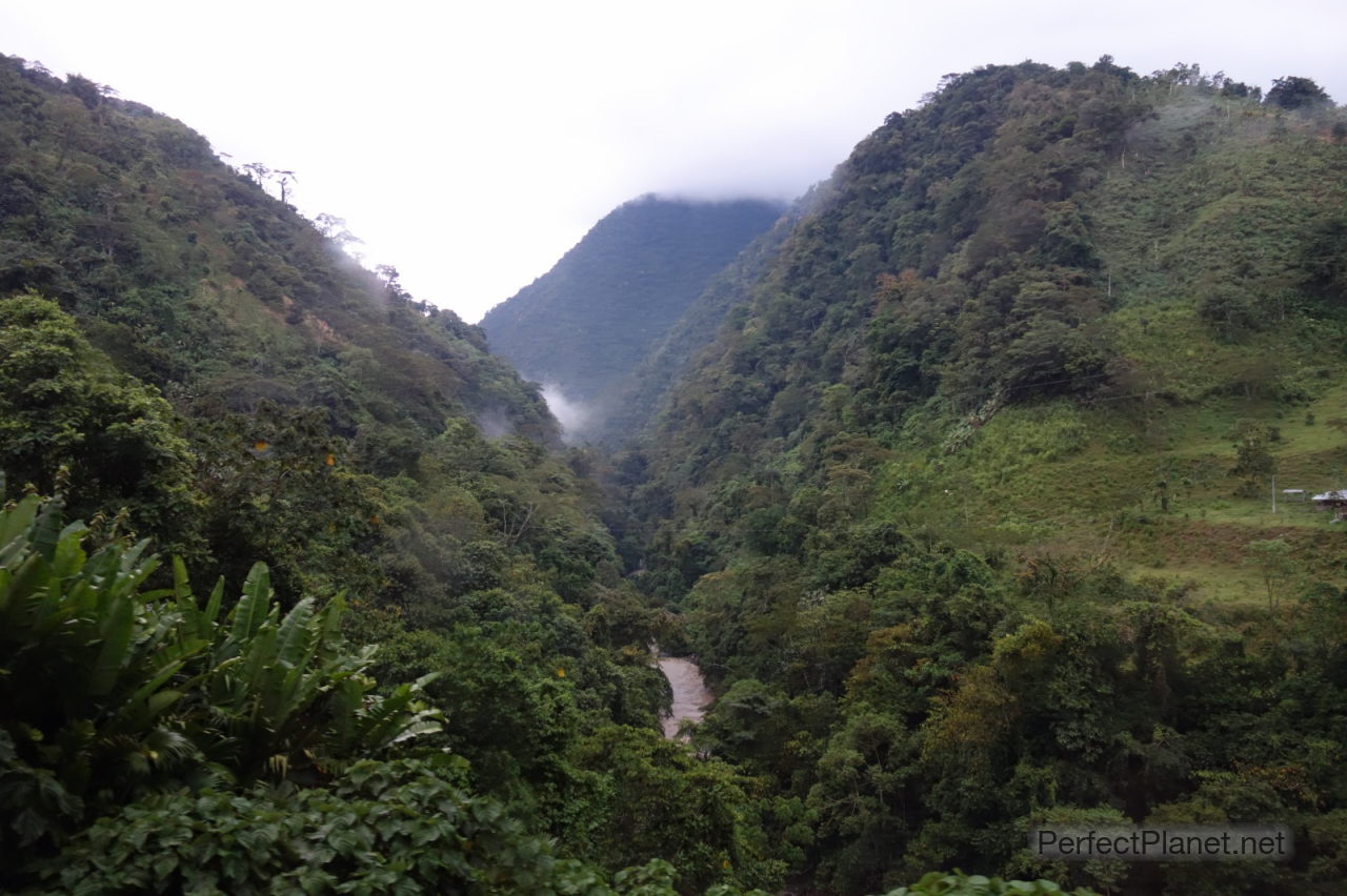 De camino a Medellín