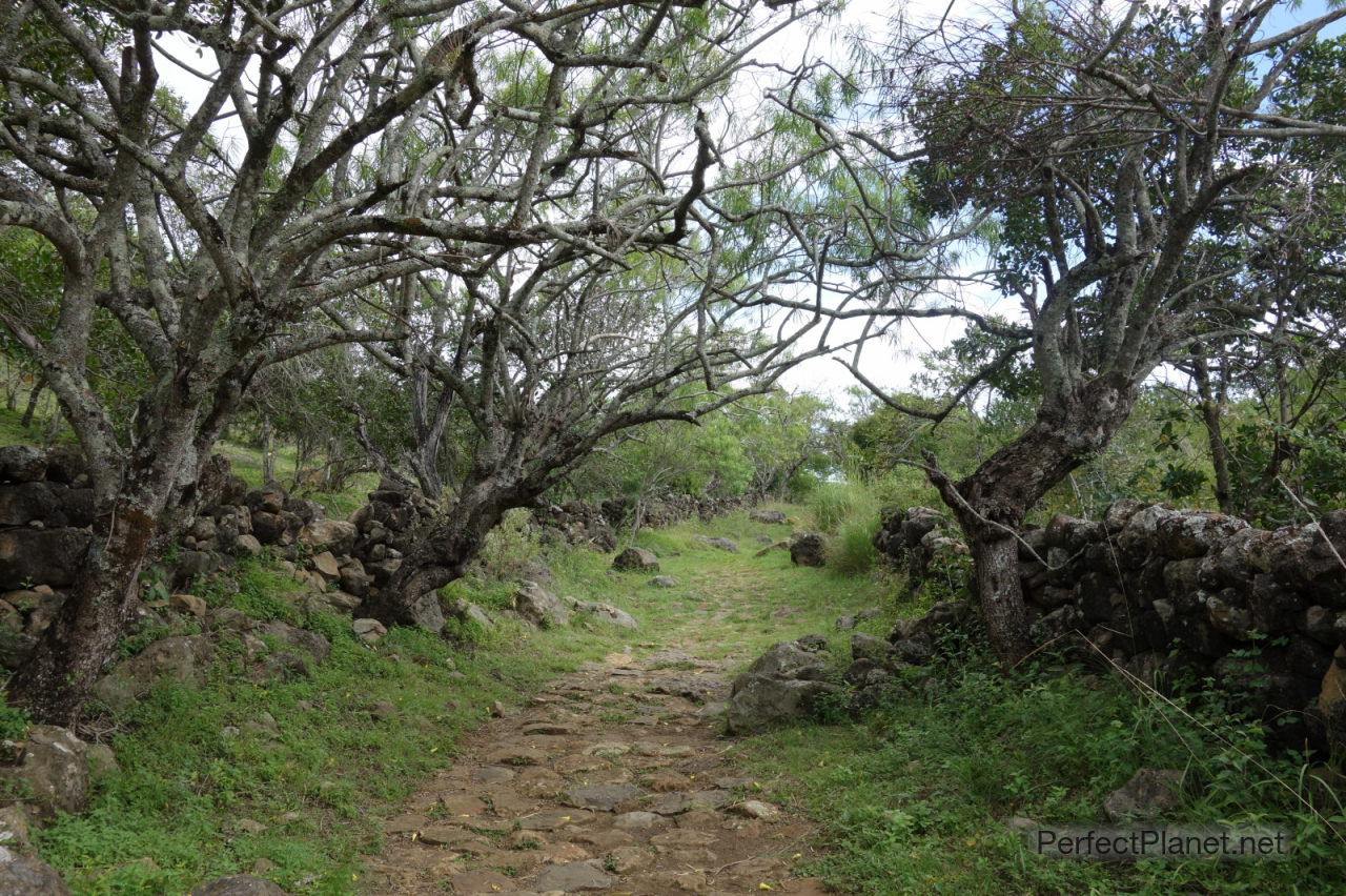 Way to Guane