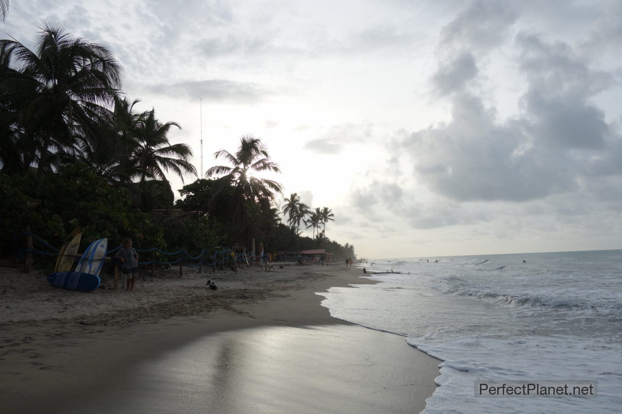 Palomino beach