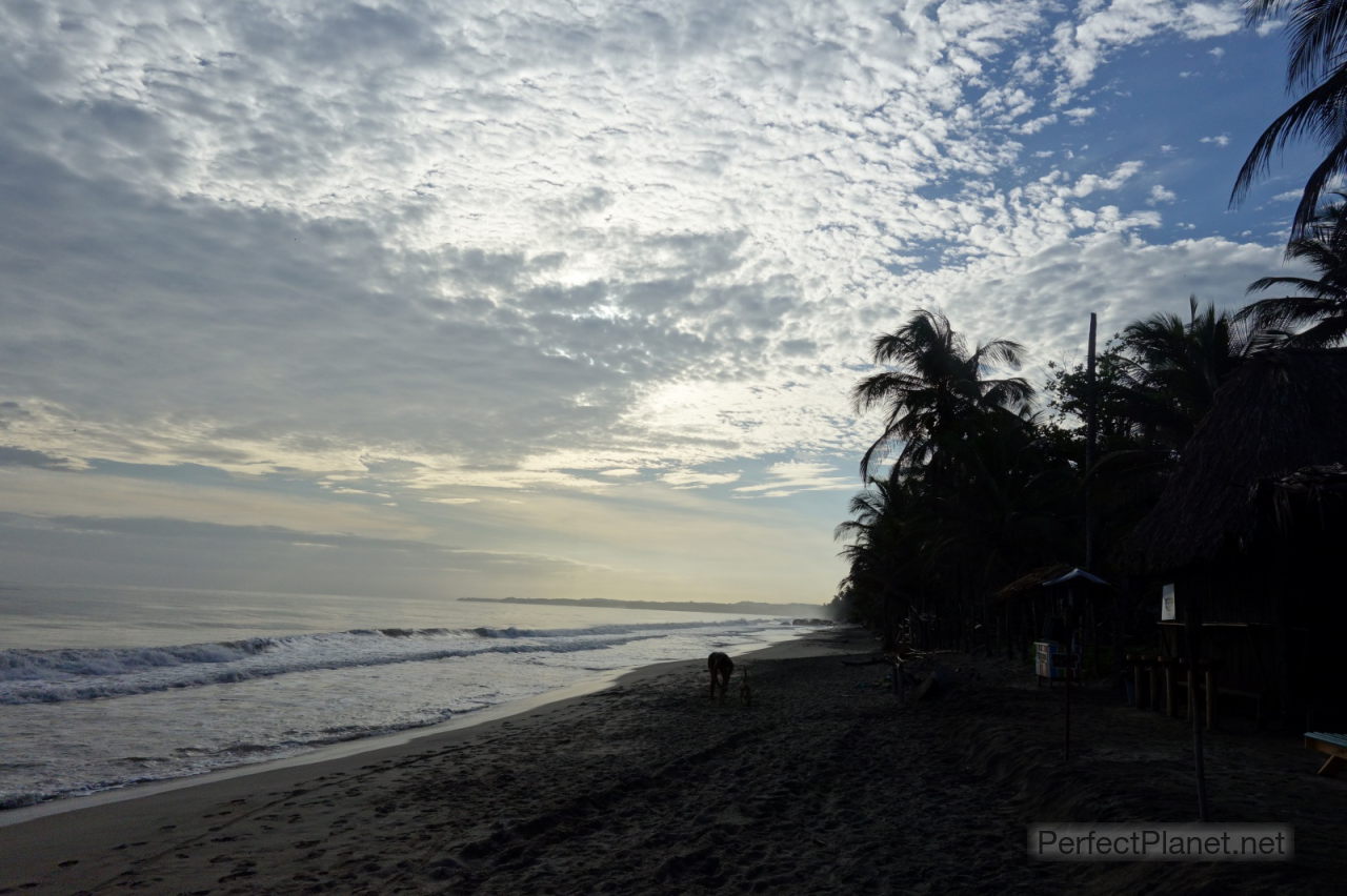 Palomino Beach