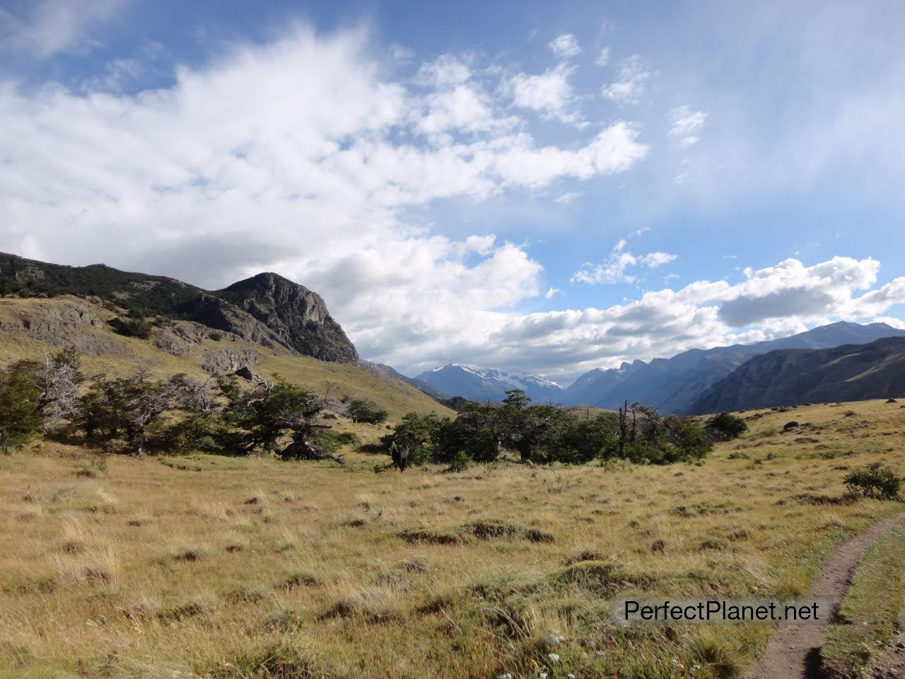 Senda a Laguna Torre