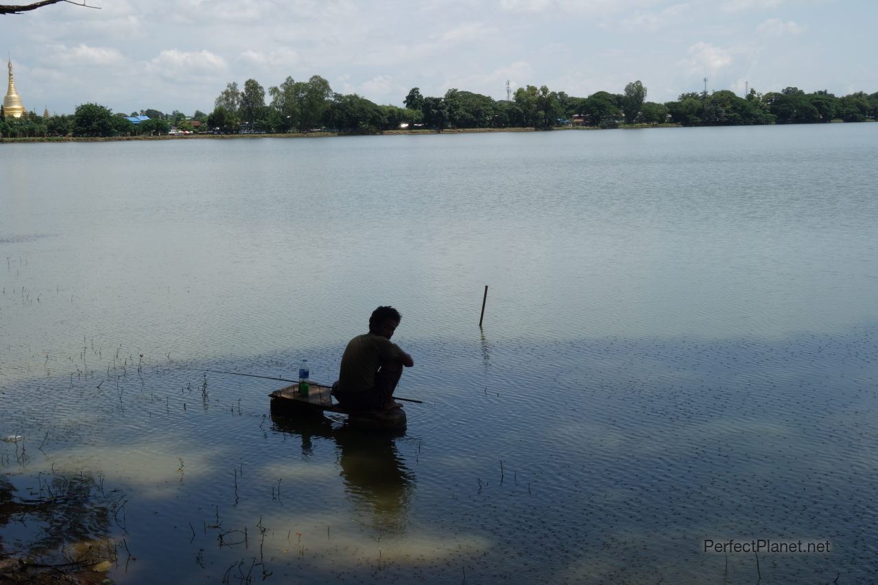 Kandawgyi lake