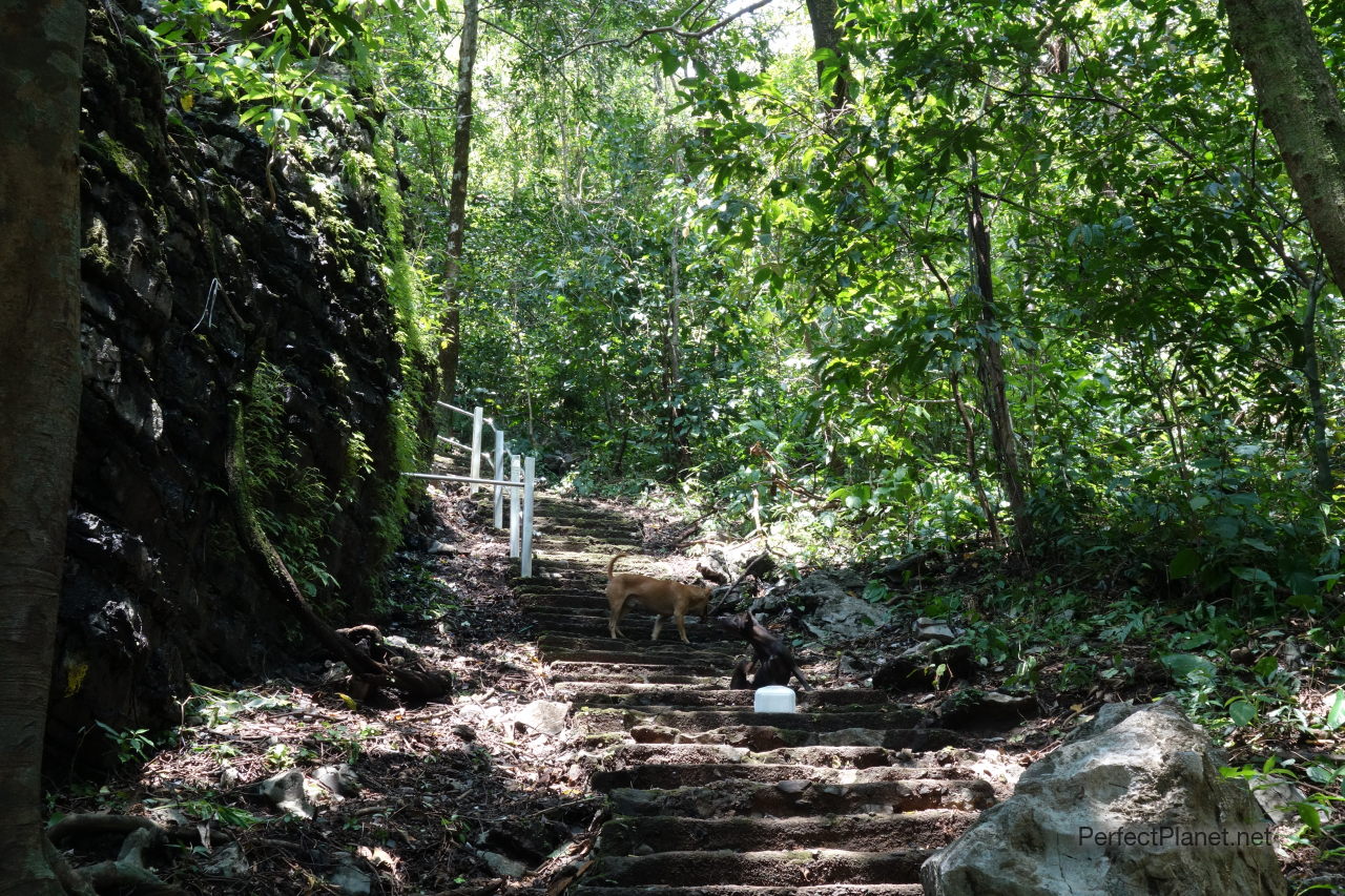 Zwegabin Mountain Stairs