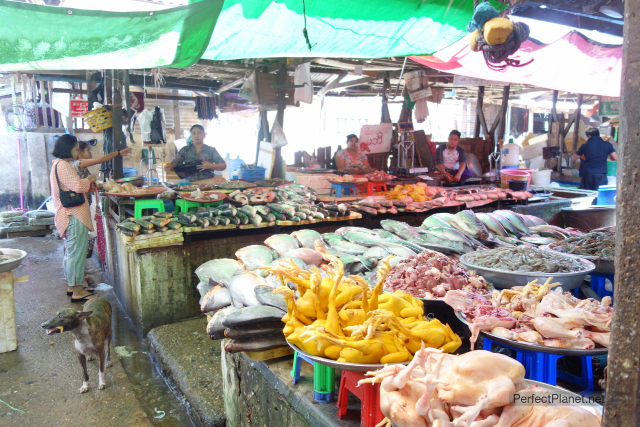 Mercado Hpa An